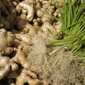 āĻĒāĻžāĻšāĻžā§ā§ āĻāĻĻāĻž (āĻāĻ āĻā§āĻāĻŋ)