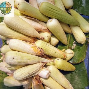 āĻĒāĻžāĻšāĻžā§ā§ āĻā§āĻā§āĻāĻž (āĻāĻ āĻĒāĻŋāϏ)