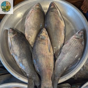 āĻāĻžāĻĒā§āϤāĻžāĻ āϞā§āĻā§āϰ āĻāĻžāϞāĻŦāĻžāĻāĻļ āĻŽāĻžāĻ